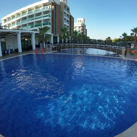 Linda Sunny & 5* シダ